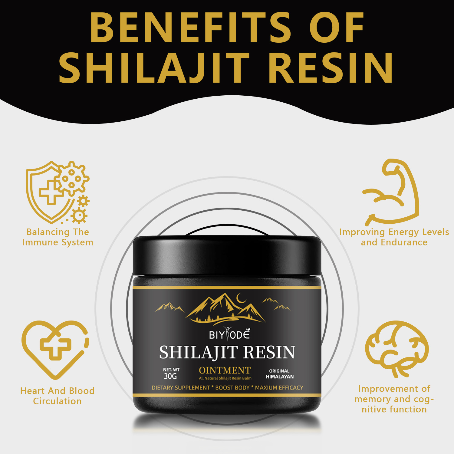 Shilajit pure